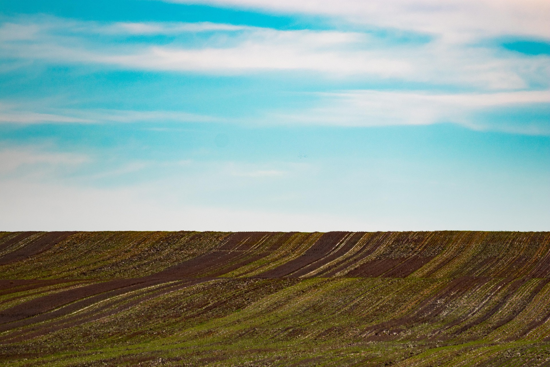 Natural view